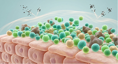 Cultivate Resilience by Normalizing the Microbiome Balance