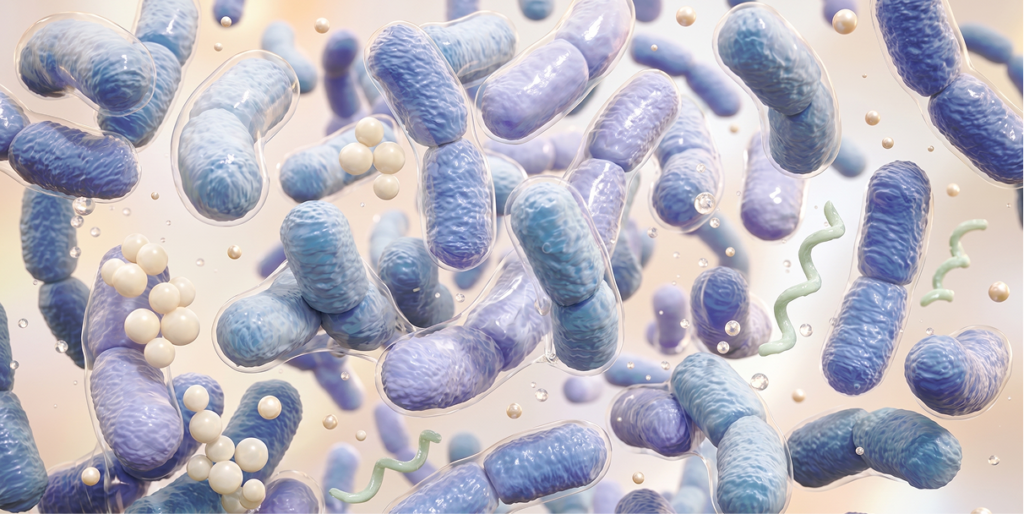 A normalized skin microbiome environment