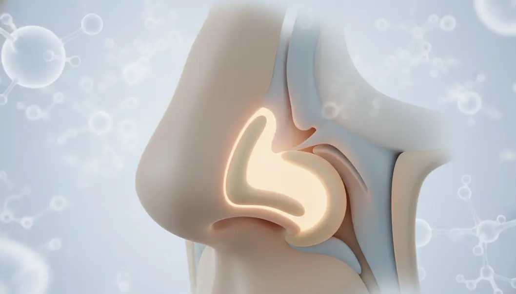 Tip plasty targets the lower lateral cartilages to redefine the nose shape.