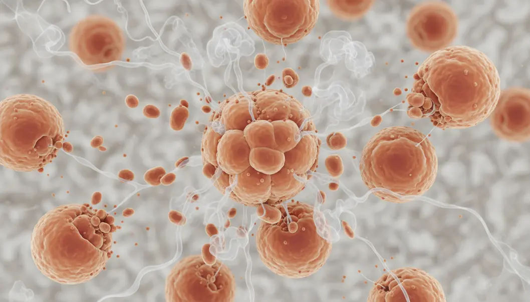 V-Olet destroys fat cells rather than just shrinking them.