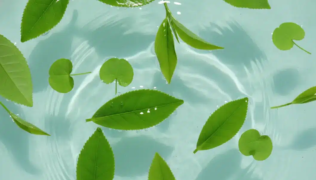Natural K-beauty ingredients like green tea and heartleaf are perfect for balancing oily skin.