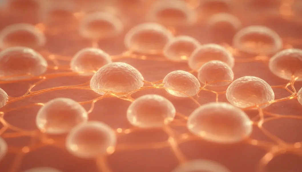 Collaum works by stimulating collagen deep within the skin layers.