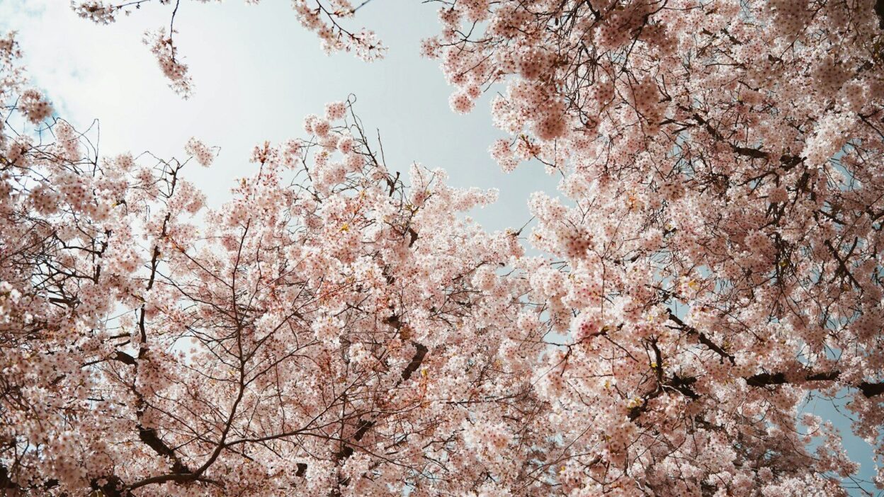 ソウル 天気 4月