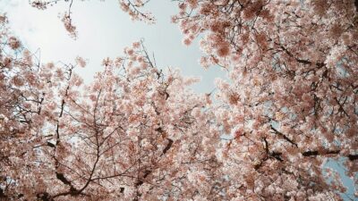 ソウル 天気 4月