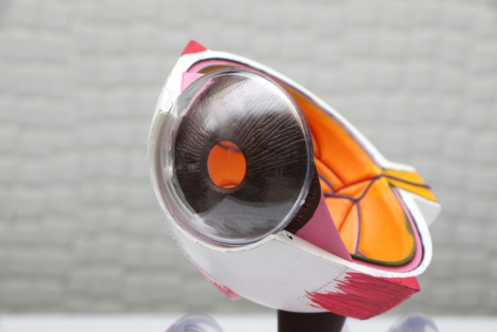 韓国で人気のクマ治療!話題の美容医療3選