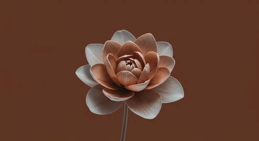질 필러 시술 전후 중요사항과 자주 묻는 질문을 시각적으로 정리한 이미지