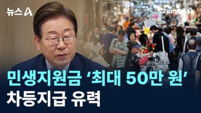 2025 이재명 민생지원금