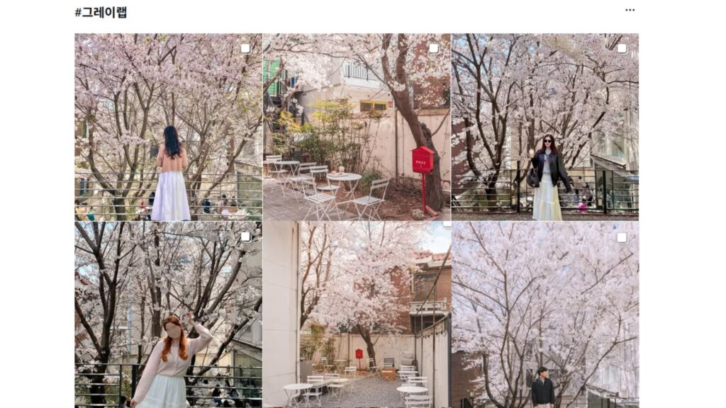 冬季韩国 医美黄金期 7