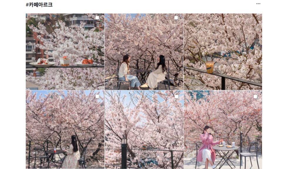 冬季韩国 医美黄金期 8