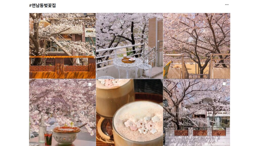 冬季韩国 医美黄金期 9