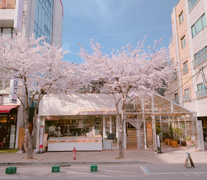 屏幕截图 2026 03 17 131212