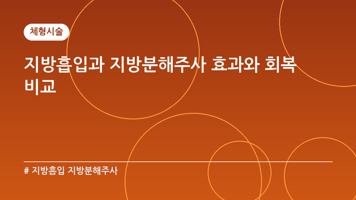 지방흡입과 지방분해주사 효과와 회복 비교 3 지방흡입 지방분해주사 시술 침투 깊이 및 임상 효과 비교 인포그래픽 차트