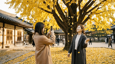 서울 단풍 명소 2026
