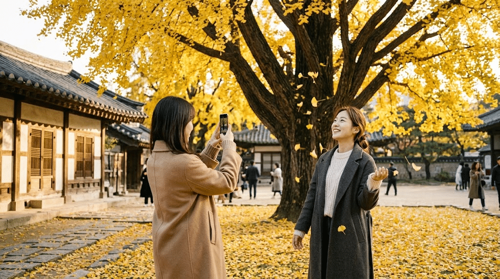 서울 단풍 명소 2026
