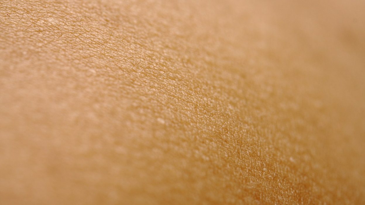 Dry Skin Solutions: Effective Ingredients, Treatments, and Prices