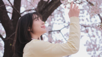 韓國賞櫻