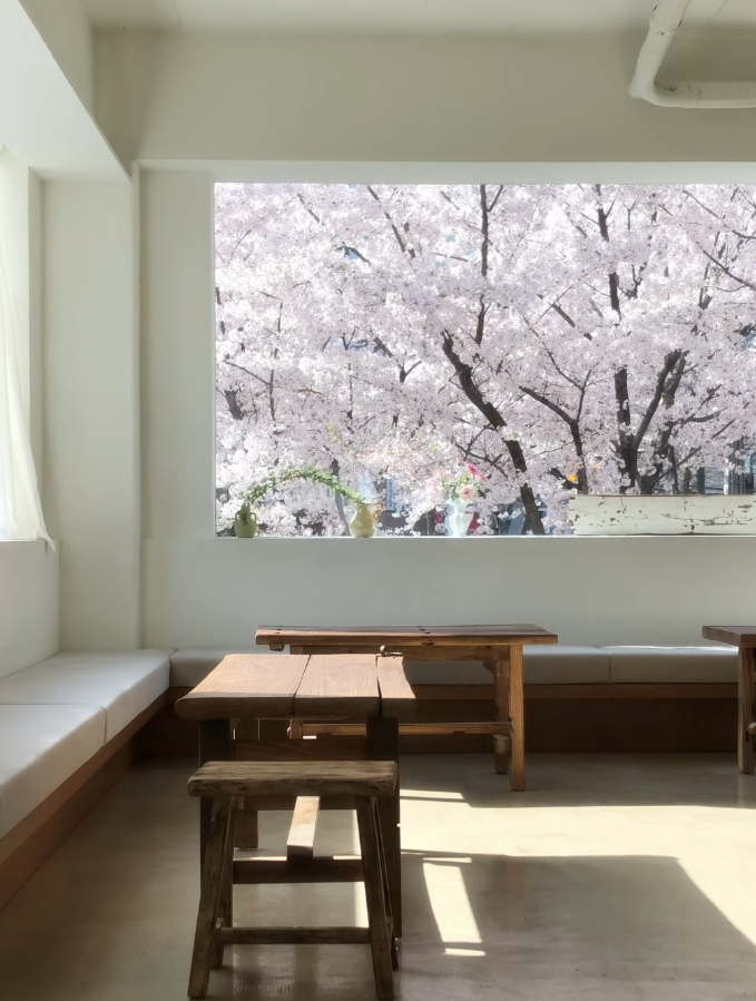 櫻花景觀咖啡廳