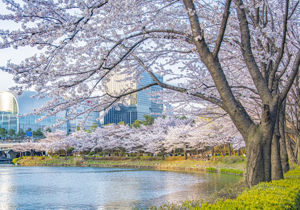 GettyImages a12602080